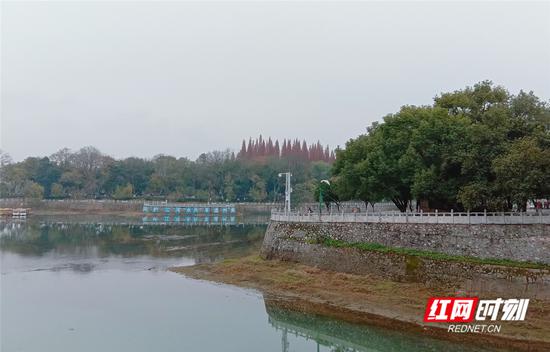 今日道州，阴雨天气。谢万波 摄