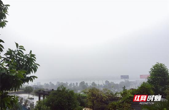 今日永州，阵雨有雾。刘林霞 摄