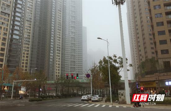 今日长沙，阴雨天气。