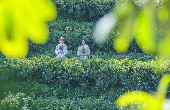 (《春芽》刘志刚 摄)