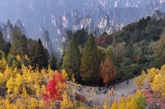 湖南2地入选全国赏秋指南！