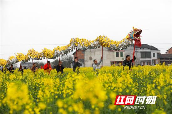 九市稻草龙走家串户祈求国泰民安、风调雨顺、五谷丰登、人兴财旺。