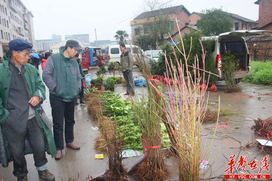 衡阳渣江镇二八庙会掠影