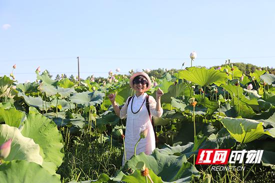 人面莲花交相辉。
