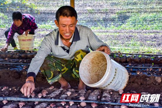 香菇种植,让贫困户董昨元不仅实现在家门口就业,还成为家庭增收脱贫的主力。