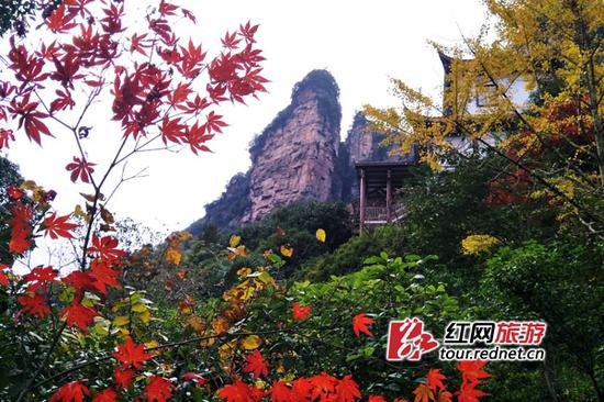 张家界天子山景区风景迷人。