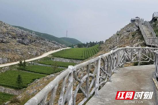 安化云台山风景区云上茶园景观栈道。