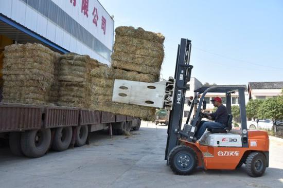 衡阳县农民在“打包中心”将秸秆压缩、捆扎成大包后装上大货车，准备运往板材工厂（11月2日摄）。新华社记者 白田田 摄