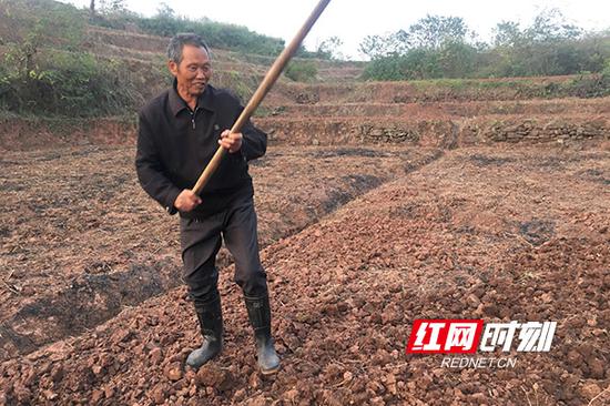 11月5日傍晚，湖南省衡南县云集镇响鼓岭村村民李先仲还在菜地里劳作。