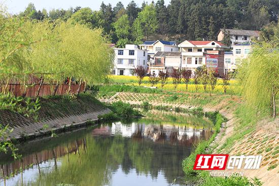 龙荫港红星村段，结合南岳区全域旅游打造样板河。
