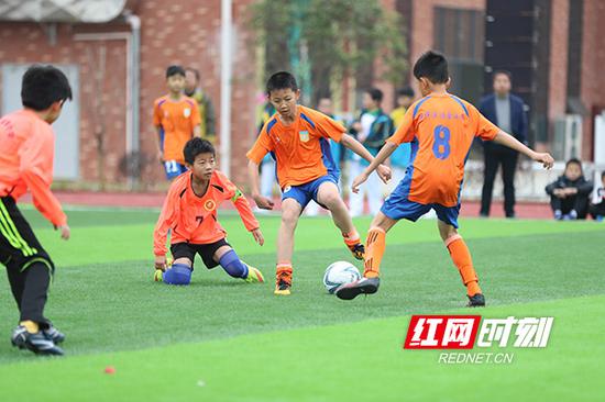 近五年来,全市注册青少年运动员从2564人增加到3489人,增长率达36.1%,全市各级体校等业余训练单位从21家增加到46家。