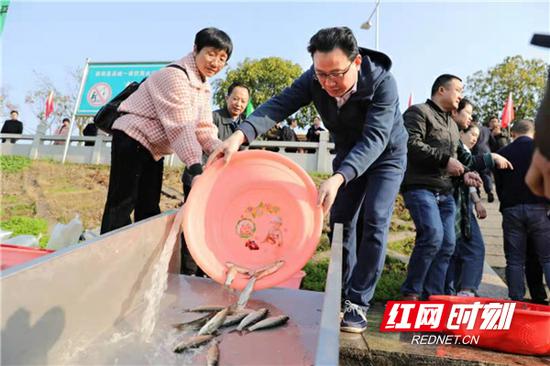 衡阳县委副书记、县长孙鹏伟(前右)在投放鱼苗。