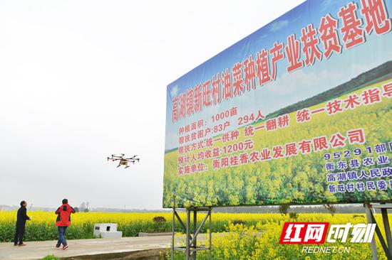 　　衡东县高湖镇新旺村油菜种植产业扶贫基地。