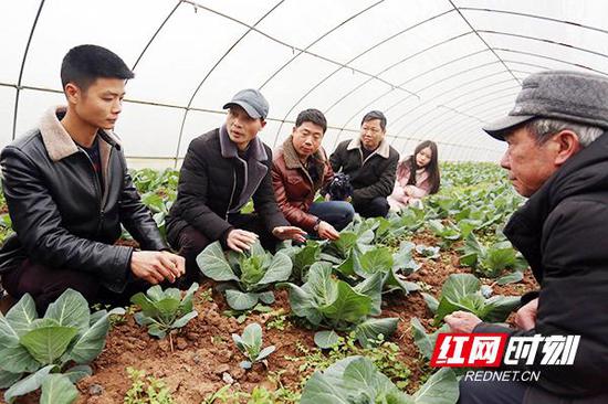 大棚里的党员群众培训课堂。