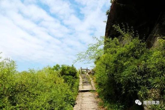 △路边竹林(会仙桥景点附近)