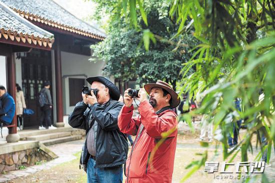 岳麓书院,专家们捕捉身边的美好画面