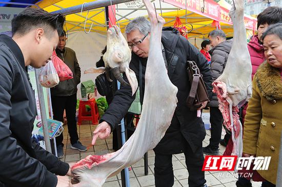 市民在选购高山黑山羊。