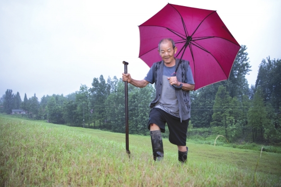 7月10日，常德安乡县大鲸港镇大港村，80岁村民吴保林正在松滋河河堤上巡查。图/记者谢长贵