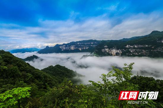 岩溶台地