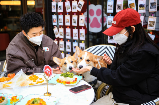活动现场宠物版披萨DIY