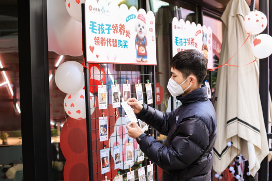 餐厅设置“毛孩子领养处”,倡导领养代替购买