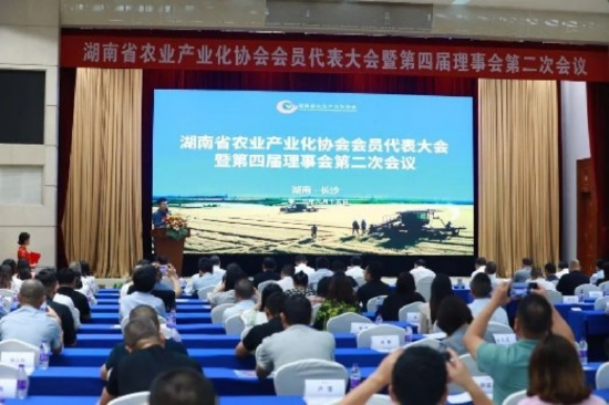 大会现场