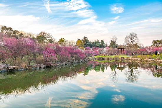 扬州美景(图片主办方提供)