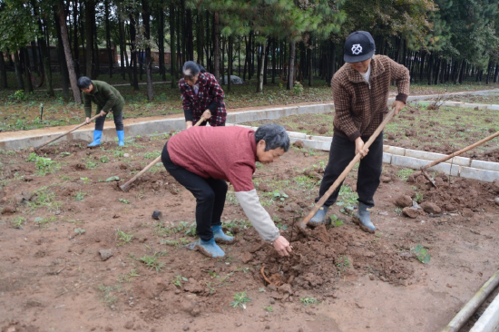羊古村村民正在种植牡丹。邵阳日报记者颜靖轩 摄