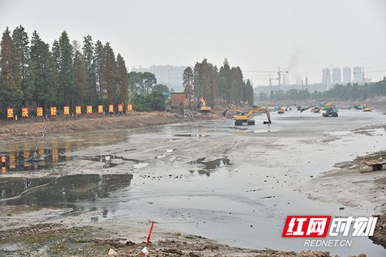 该项目前期20多台陆地挖机和多台抽沙泵同时作业，20多台陆地挖机和多台抽沙泵同时作业，图为9月21日作业现场。