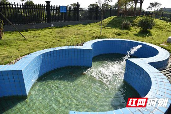 经过洪市镇污水处理厂处理的水可以养鱼。