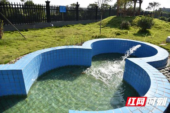 经过洪市镇污水处理厂处理的水可以养鱼。