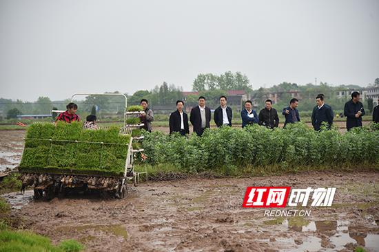 　　4月15日，祁东县推进水稻生产全程机械化进程，在金桥镇智军农机专业合作社召开水稻机插秧暨工厂化育秧现场会。