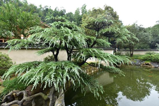 田茂现代农庄园林景观（局部）