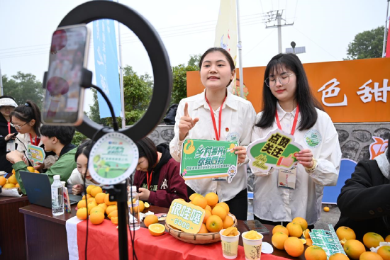 大学生在现场直播带货麻阳冰糖橙,助力乡村振兴。