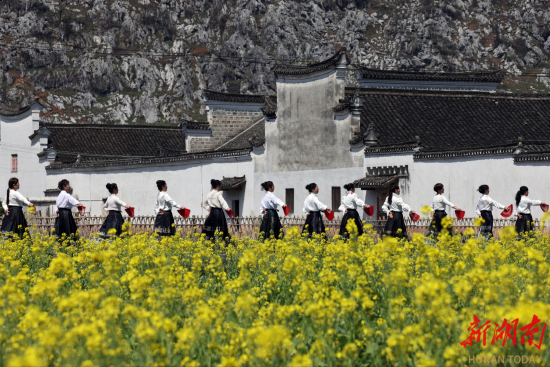 3月12日,零陵周家大院油菜花盛开,游客在田间走秀。 陶旭日 摄