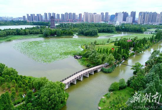 国际生物多样性日 长沙洋湖湿地生态美
