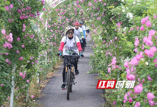 游客纷至沓来。