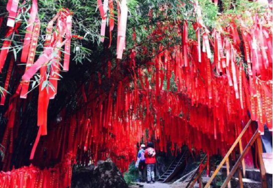 新春系福带