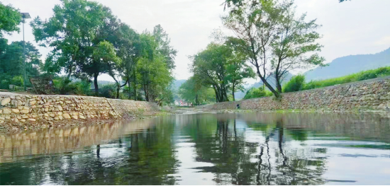 整治后的河道水清岸绿