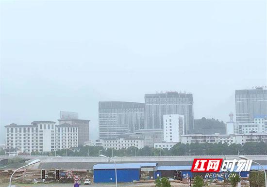 今日张家界，阴天有雾。王津 摄