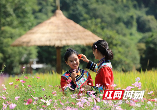 9月7日,在张家界市武陵源区黄龙洞景区生态广场,人们赏花游玩。