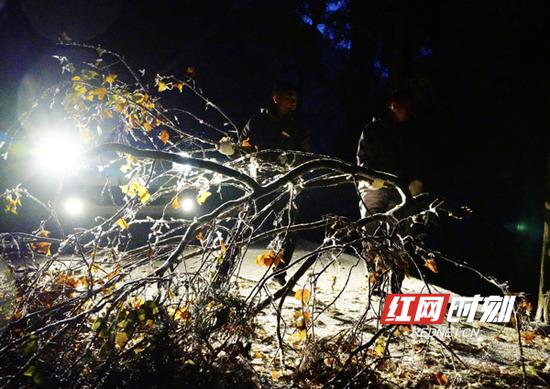 为保障景区道路出行安全,景区连夜组织专人对景区公路、游步道的积雪和树枝等进行清理,避免冰雪恶劣天气对道路造成影响。