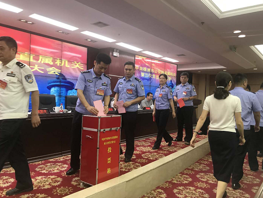 与会代表进行投票