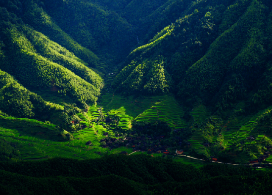 黄桑生态旅游区