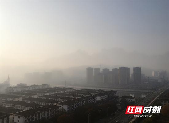 今日张家界,晨雾正浓。王津 摄