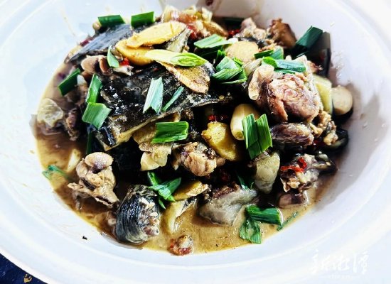 黄焖“南苹甲鱼”