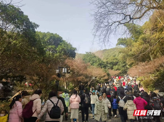 岳麓山景区承载量已达上限。