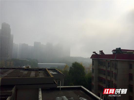 今日永州，浓雾遮不住阳光。刘林霞 摄