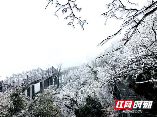 12月6日，张家界天门山现雾凇景观。龚晓敏 摄