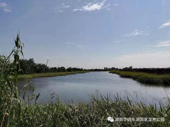 图源：湖南华容东湖国家湿地公园公众号